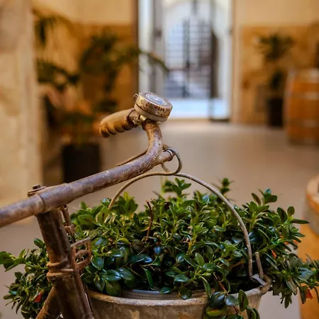 Residenza San Giovannello Casa de hóspedes